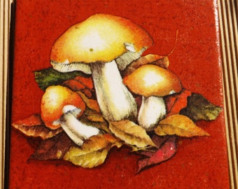 Decorative handmade ceramic Dekofliese, wall tile mushrooms Funghi (054) gift, tapestry, tiles, decoration, home decor