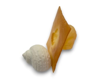 Latex Betongießform Muschel – 3D Gießform