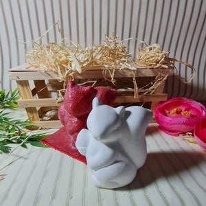 Handmade Latex Full Form Casting Mold Latex Mold Concrete Casting Mold Latex Mold Casting Mold for Sculptures Squirrel (167)