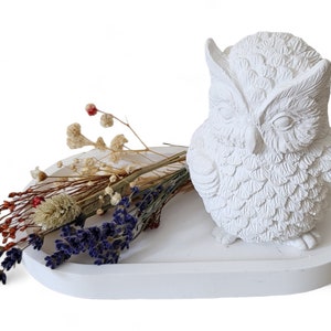 Handmade Latex Full Form Casting Mold Latex Mold Concrete Casting Mold Latex Mold Casting Mold for Sculptures Owl Uhu Owl Bird (058)
