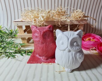 Handmade Latex Full Form Casting Mold Latex Mold Concrete Casting Mold Latex Mold Casting Mold Sculptures Autumn Owl Bird (178)