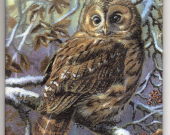 Decoupage made Dekofliese, décor, mural, wall tile, tile décor in handmade motif bird Owl (002)