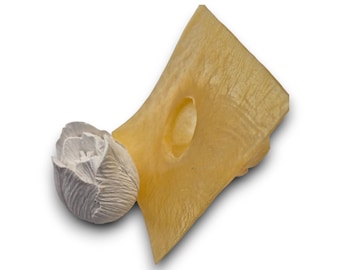 Latex-Betongießform – Tulpenblüte klein | 3D Form