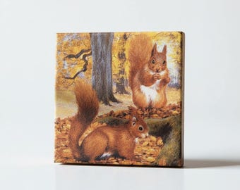Squirrel motif tile, autumn in the forest / Ceramic tile with image, 15x15 cm / Vintage woodland animal picture tile / Decorative kitchen tile / Tile with motif