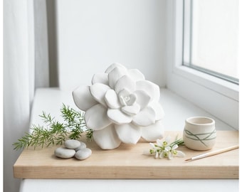 Blumen & Pflanzen