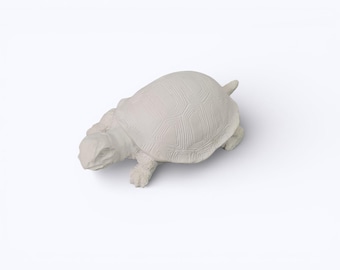 Latexform Schildkröte – 14,3 cm