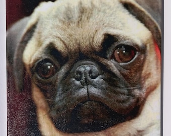 Decorative ceramic Dekofliese, wall tile Dog puppy Pug (110) Gift, tapestry, tiles, decoration, home decor