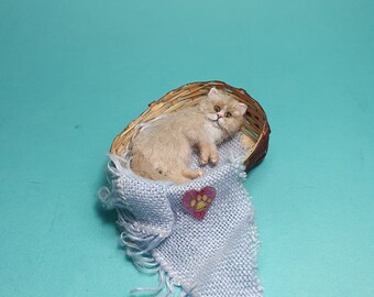 Ooak  persian cat   dollhouse handmade 1:12scale IGMA ARTISAN  cat