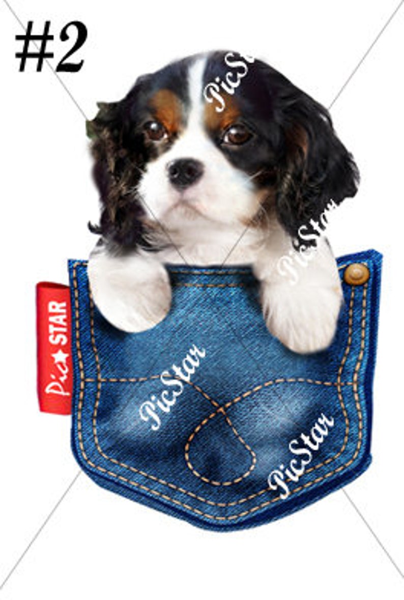 Pet triple Color Cavalier King Charles Spaniel Tshirts Etsy