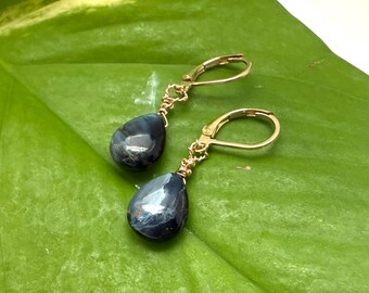 Pietersite Minimalist Earrings - Simple Cabochon - Pietersite Gold Filled