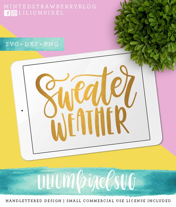pumpkin quote rustic Sihouette JPEG Cricut PNG SVG thanksgiving t shirt svg htv brush cursive lettering Sweater Weather Cut File
