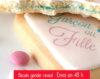 x10 biscuits Fille ou garçon pour gender verify (ou annonce grossesse, sexe révéler, annonce de bébé)