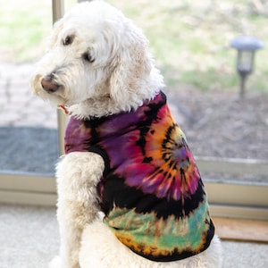 May include: A white dog wearing a tie-dye tank top with a swirl pattern in shades of purple, orange, yellow, and green. The dog is sitting on a light brown carpet.