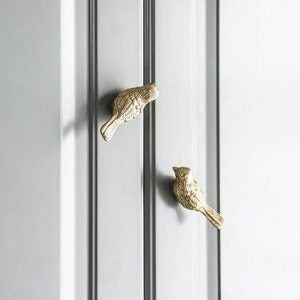 May include: Two gold bird-shaped cabinet knobs on a white door.