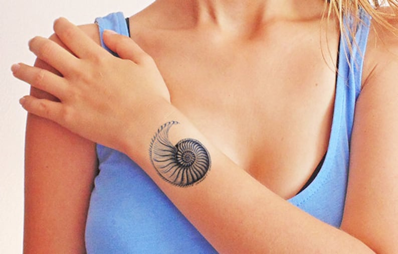 Nautilus blue seashell Temporary tattoo Set of 2 image 1