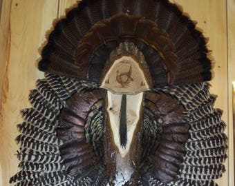 Turkey Hunting Fan Mount Plaque Gift
