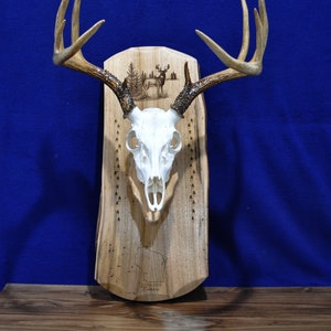 European Mount Board | Deer Mount Board With State | Deer Hunting | European Mount Plaque | Hunting | Deer Skull Mount | Deer Antler Mount