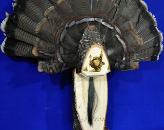 Turkey Fan Mount ~ Turkey Hunting ~ Turkey Fan ~ Turkey Hunting Gift ~ Turkey Fan Display ~ First Turkey ~ Hunting ~ Fan And Beard Mount ~