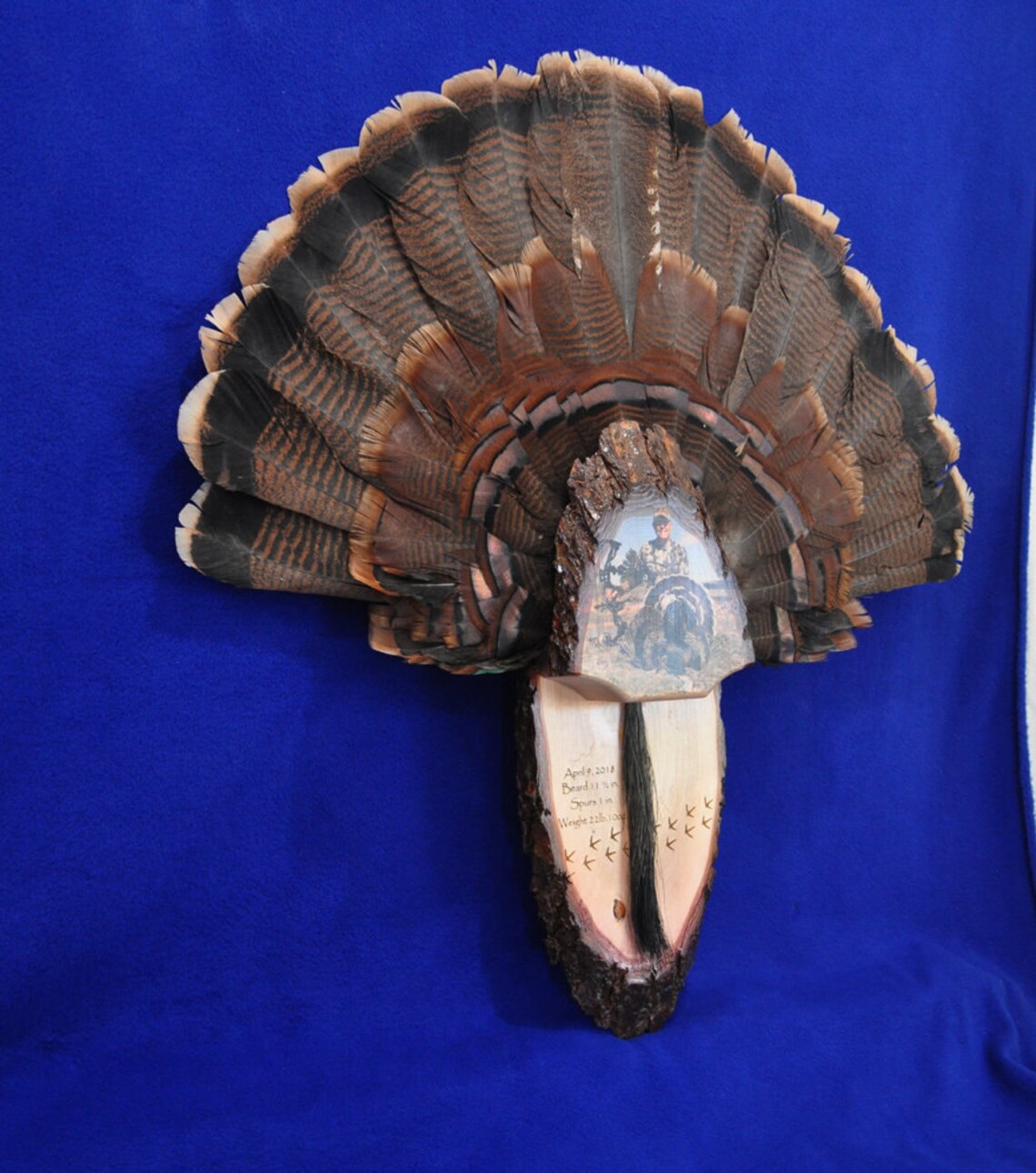 Turkey Fan Mount / Turkey Fan With Photo / Turkey Hunting / Etsy