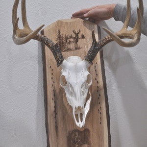European Mount Boards, Engraved Hunting Photo, Deer Hunting, Deer Skull Mount Panel, Gift For Hunter, Antler Mount, Antler Plaque, Hunting