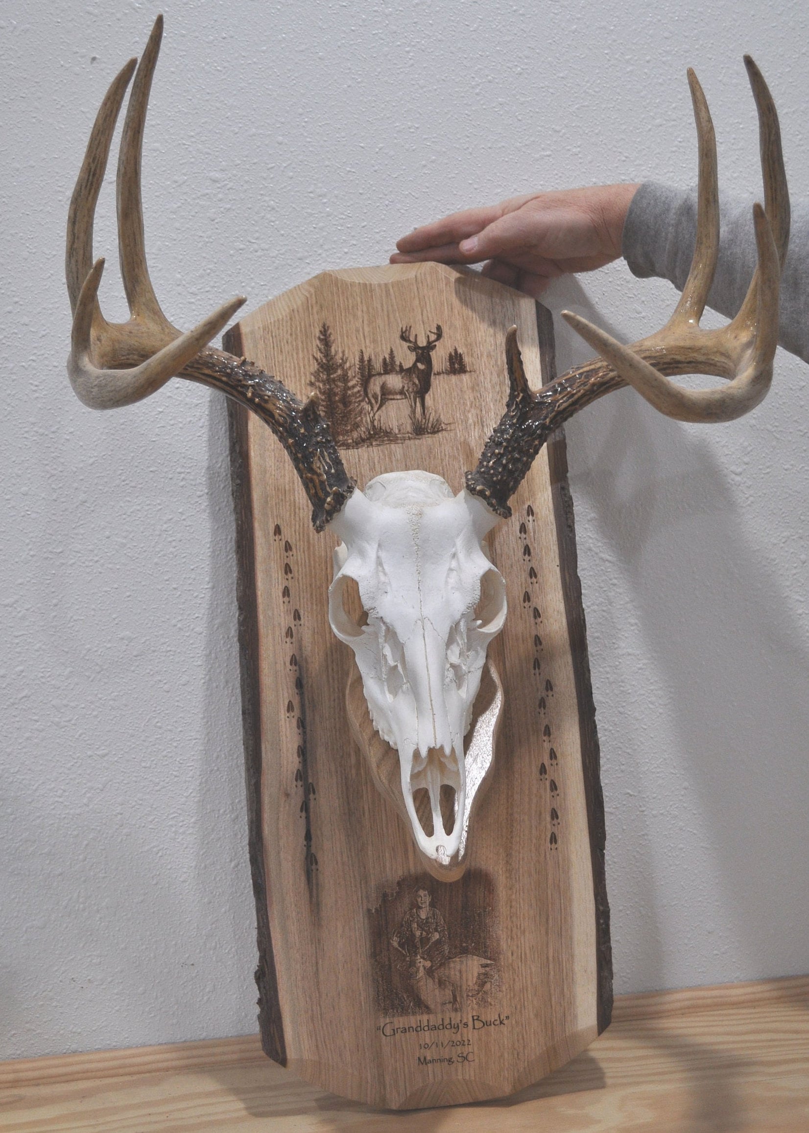 European Mount Template - Etsy for Free Printable European Mount Plaque Template