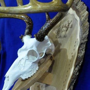 Deer Hunting Mount Hunting Gift Deer Hunting Deer Skull Gift For Hunter Antler Mount Antler Plaque Husband Gift Hunting image 3