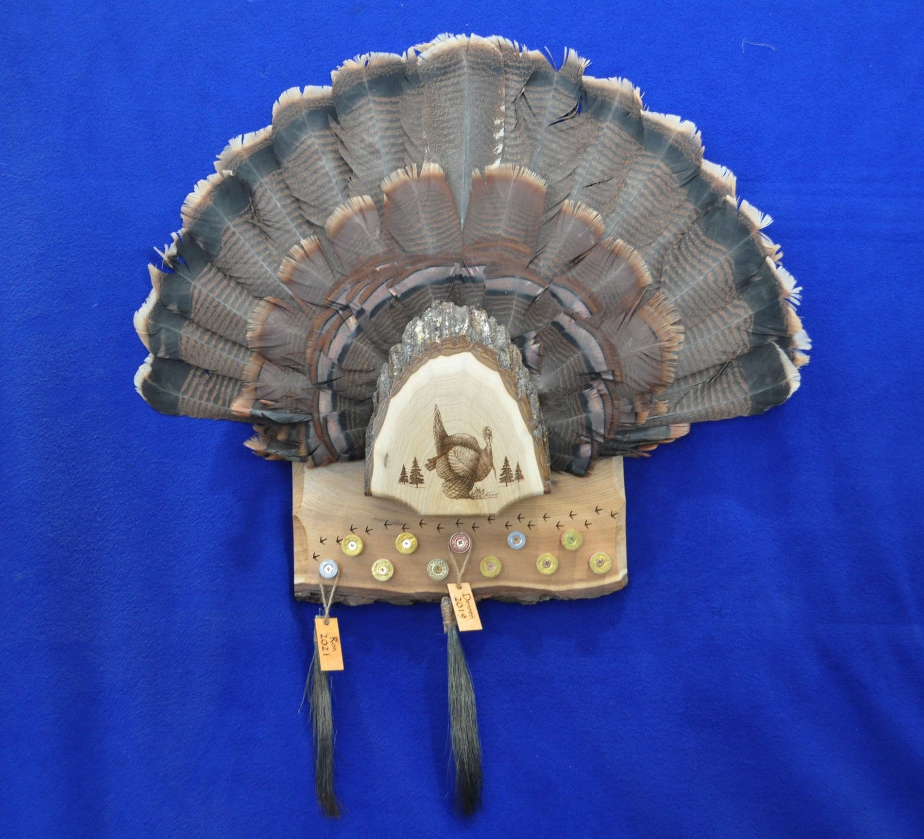 Turkey Fan and Beard Display Turkey Hunting Turkey Fan Etsy