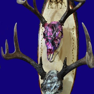 Deer Hunting ~  European Mount Plaque ~ Deer ~ Deer Skull Mount ~ Gift For Hunter ~ Antler Mount ~ Gift For Dad ~ Gift For Husband ~ Hunting