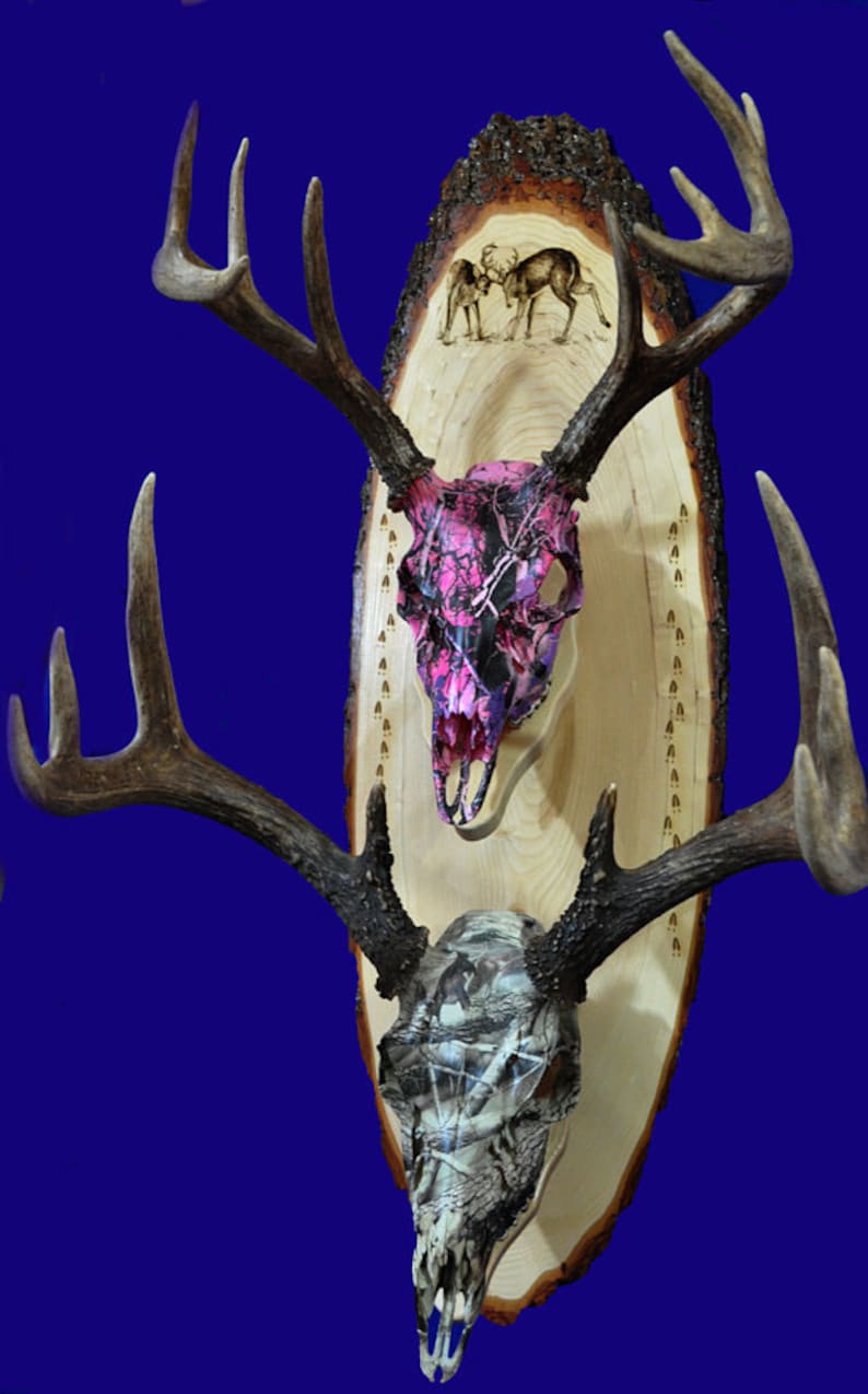 Deer Hunting European Mount Plaque Deer Deer Skull Mount Etsy
