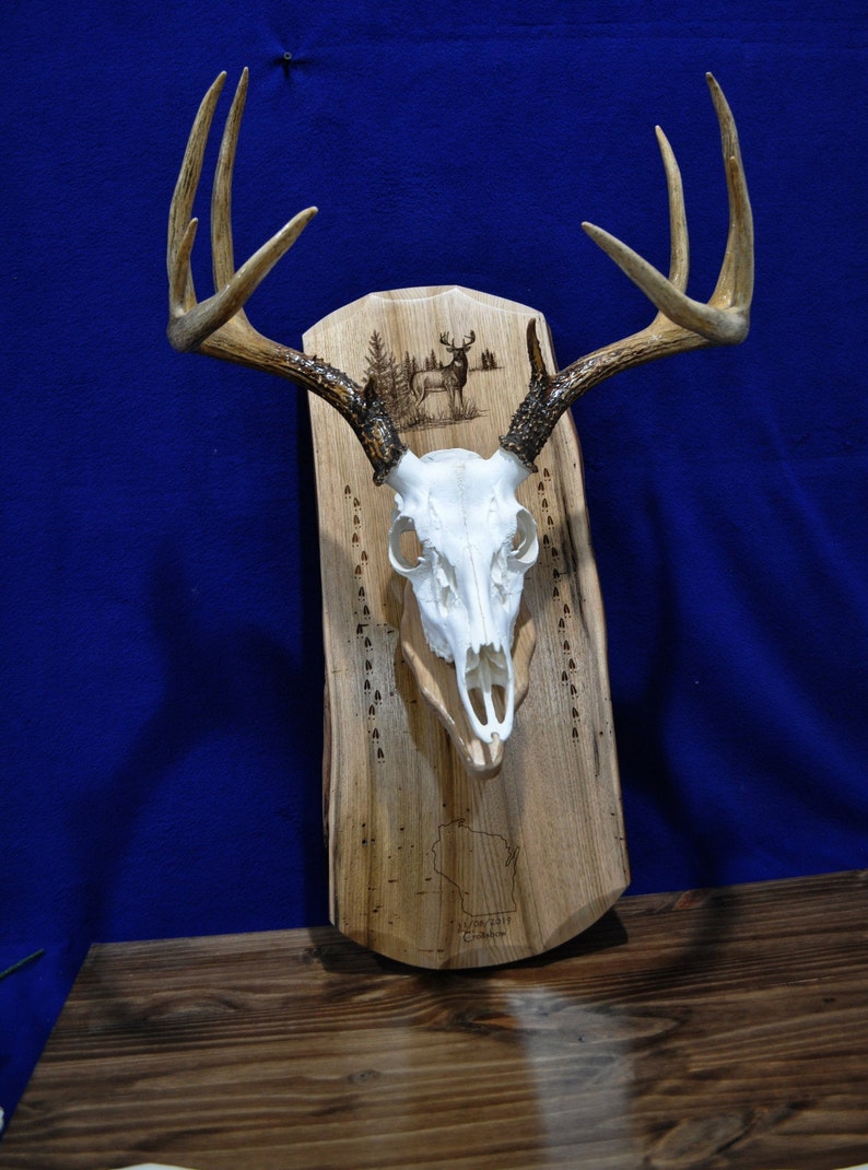 European Mount Board Deer Mount Board With State Deer Etsy Christian symbols in filet crochet free patterns grandmothers