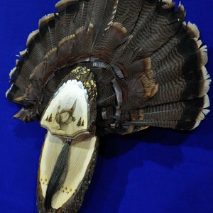 Turkey Hunting / Turkey Fan Mount / Turkey Fan Plaque / Turkey Hunting Gift / Turkey Fan Display / First Turkey / Hunting / Turkey Hunt / image 2