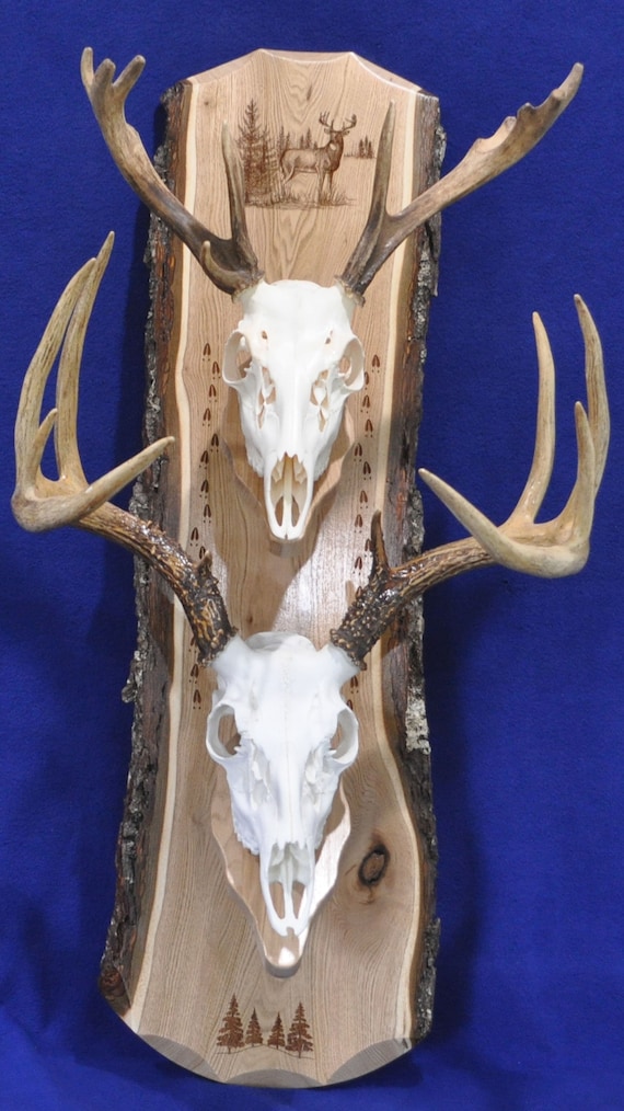 Deer mounting plaque hotsell