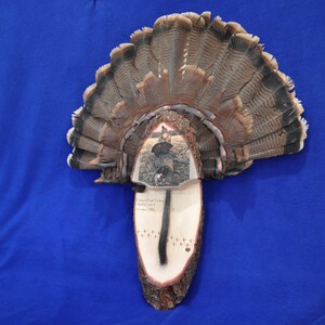 Turkey Fan Mount Turkey Fan With Photo Turkey Hunting Turkey Fan Turkey Fan Plaque First Turkey Custom Photo On Wood Turkey Bild 1