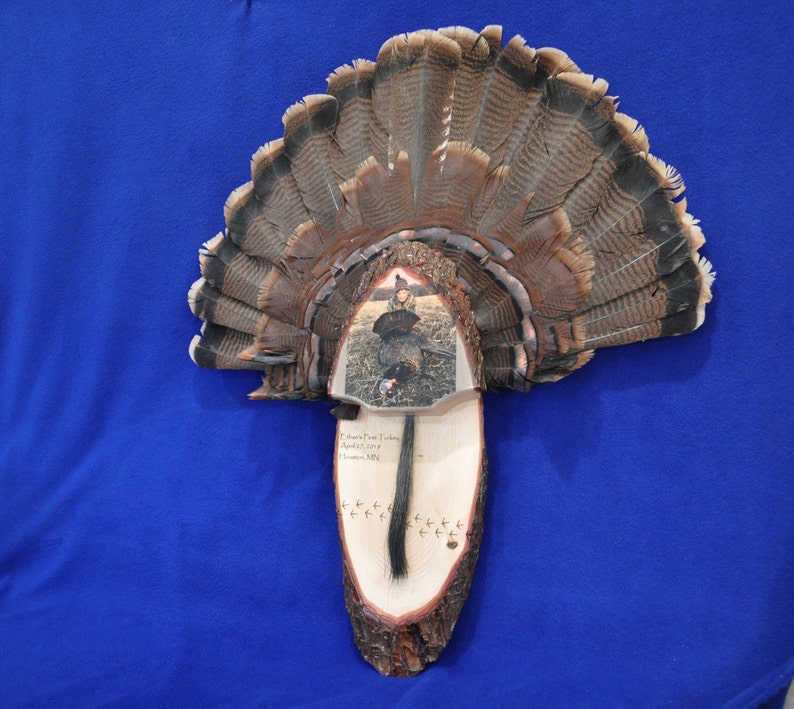 Turkey Fan Mount Turkey Fan With Photo Turkey Hunting Turkey Fan Turkey Fan Plaque First Turkey Custom Photo On Wood Turkey Bild 1