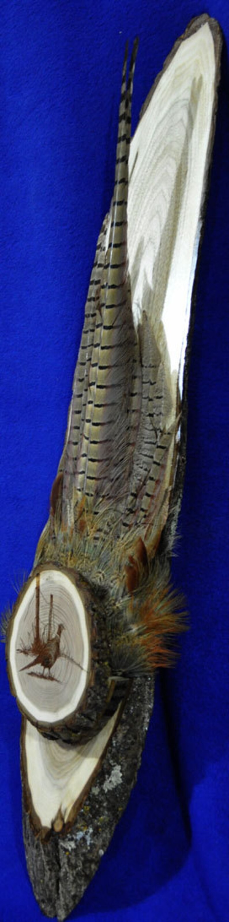 Peut inclure: Une plaque en bois avec un motif de plumes de faisan. La plaque est en bois brun clair avec une &eacute;corce brun fonc&eacute;. Un faisan est sculpt&eacute; dans le bois au centre de la plaque.