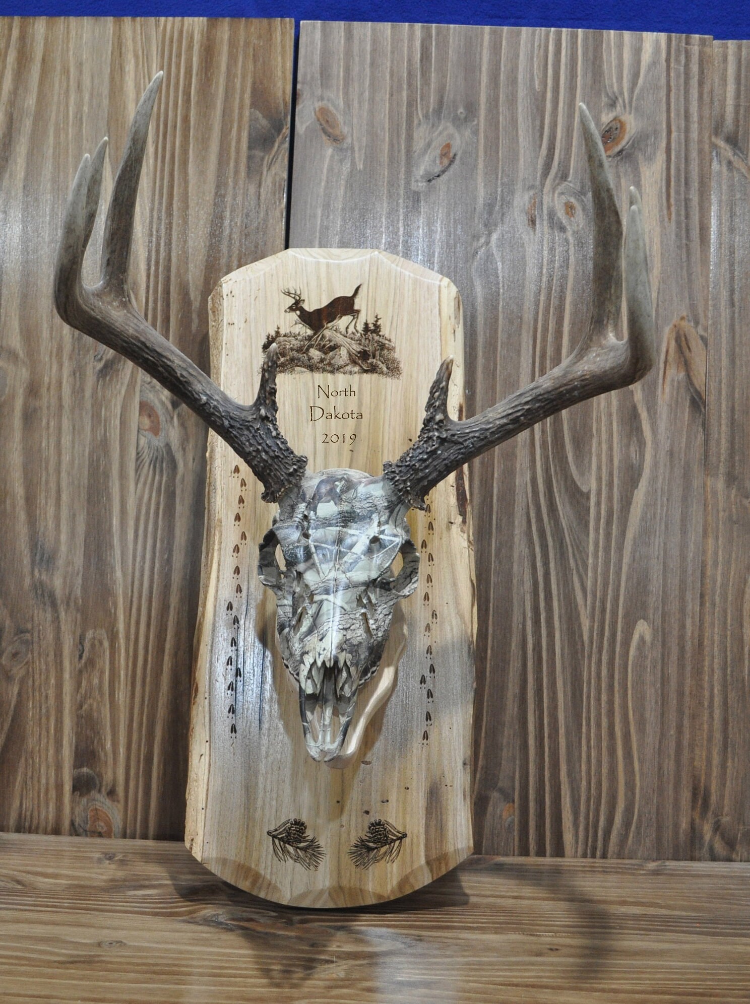 European Deer Skull Kit, Deer Hunting, European Mount Plaque