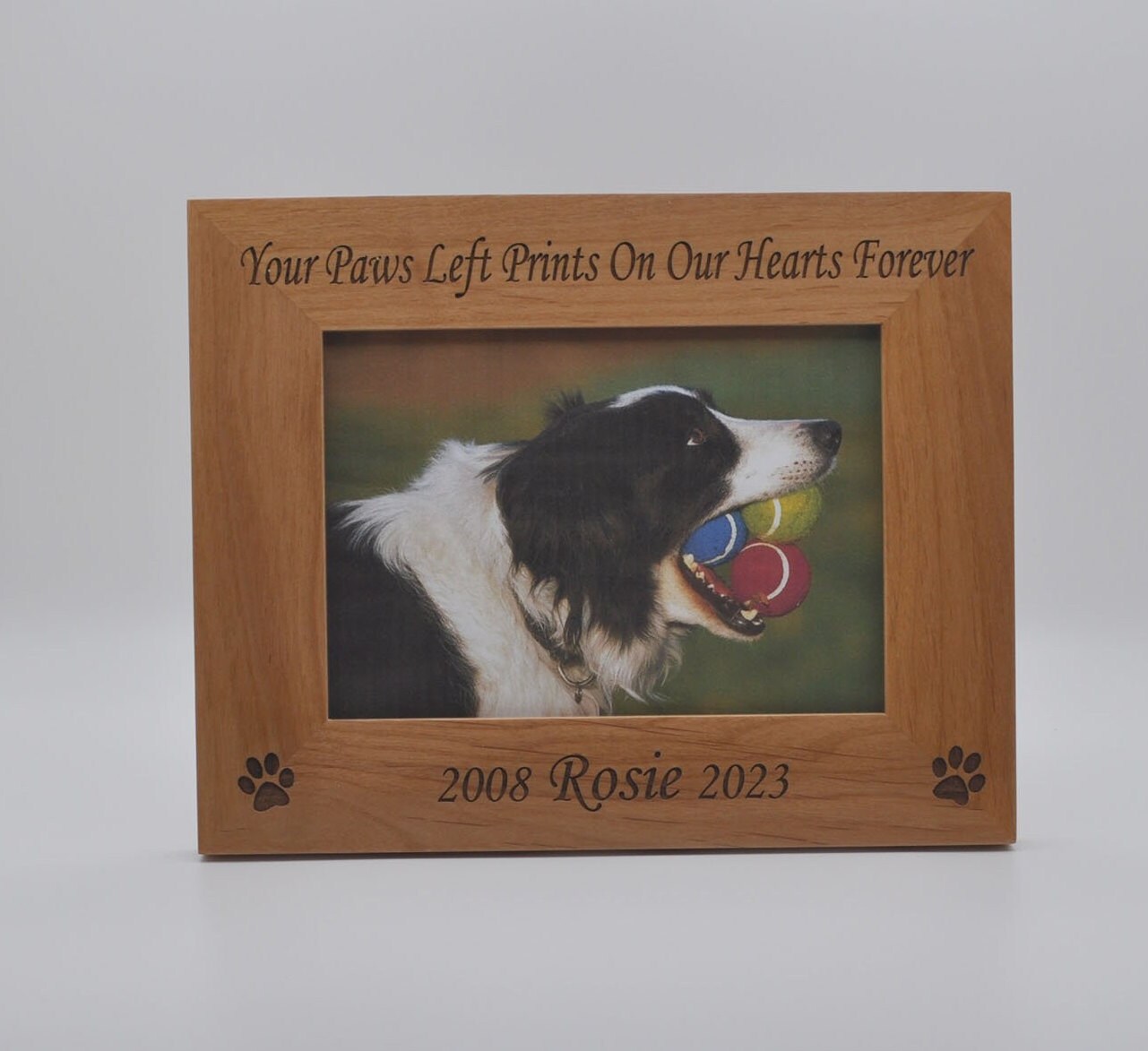 Pet Loss Gift, Dog Frame, Loss of Pet Frame, Pet Picture Frame ...