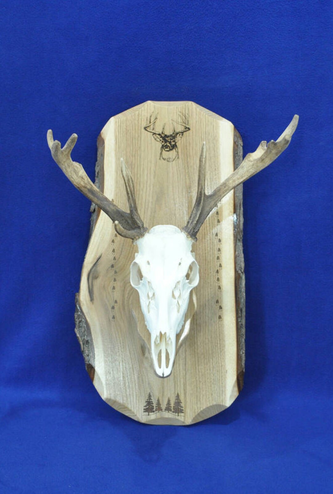 Deer Hunting Skull Mount Board European Mount Plaque Deer Skull Mount