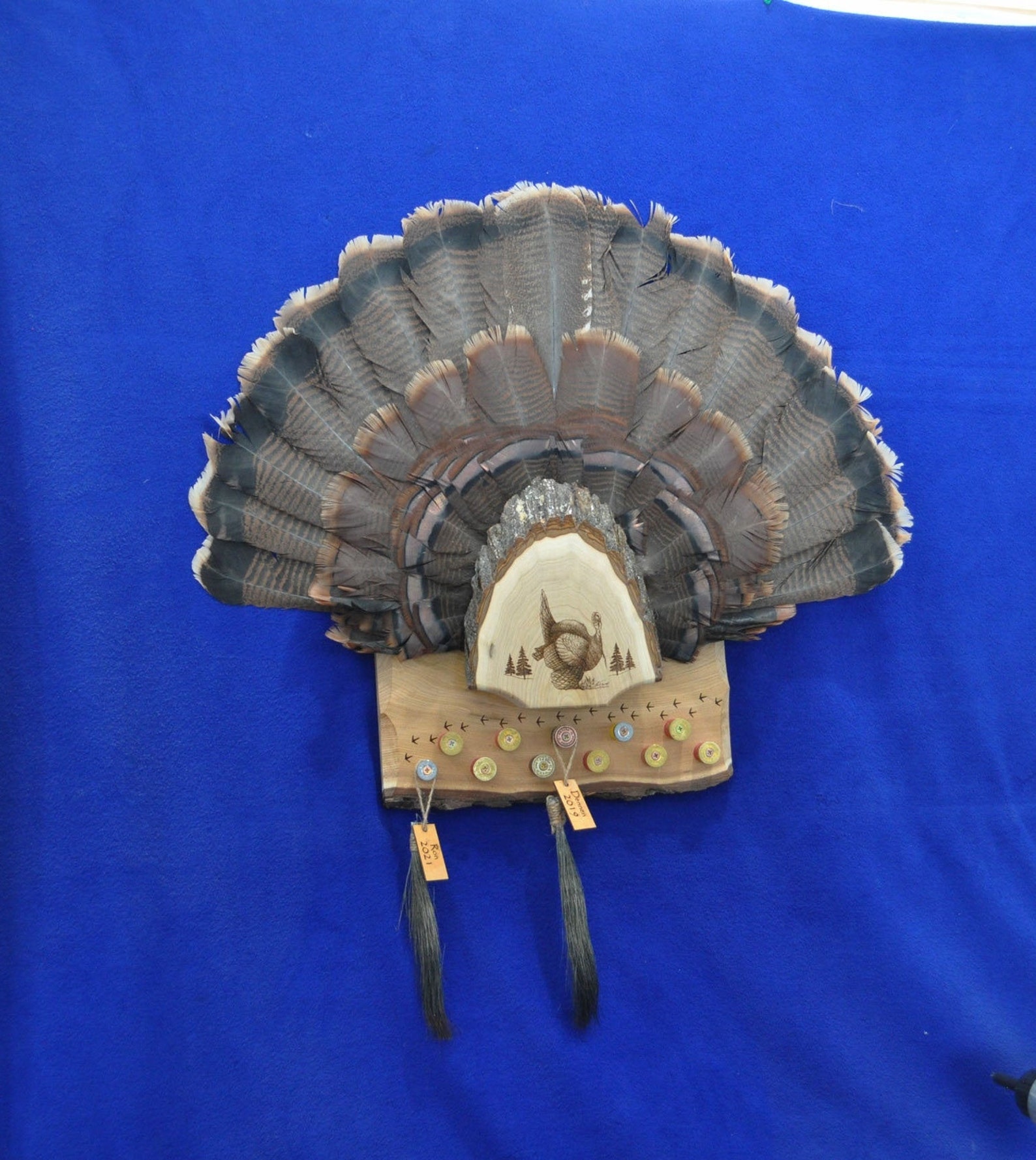 Turkey Fan and Beard Display Turkey Hunting Turkey Fan Etsy