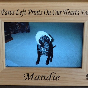 Pet Loss Gift, Dog Frame, Personalized Pet Frame, Loss of Pet Frame, Customized Pet Frame, Pet Loss, Gift For Pet Loss, Sympathy For Pets