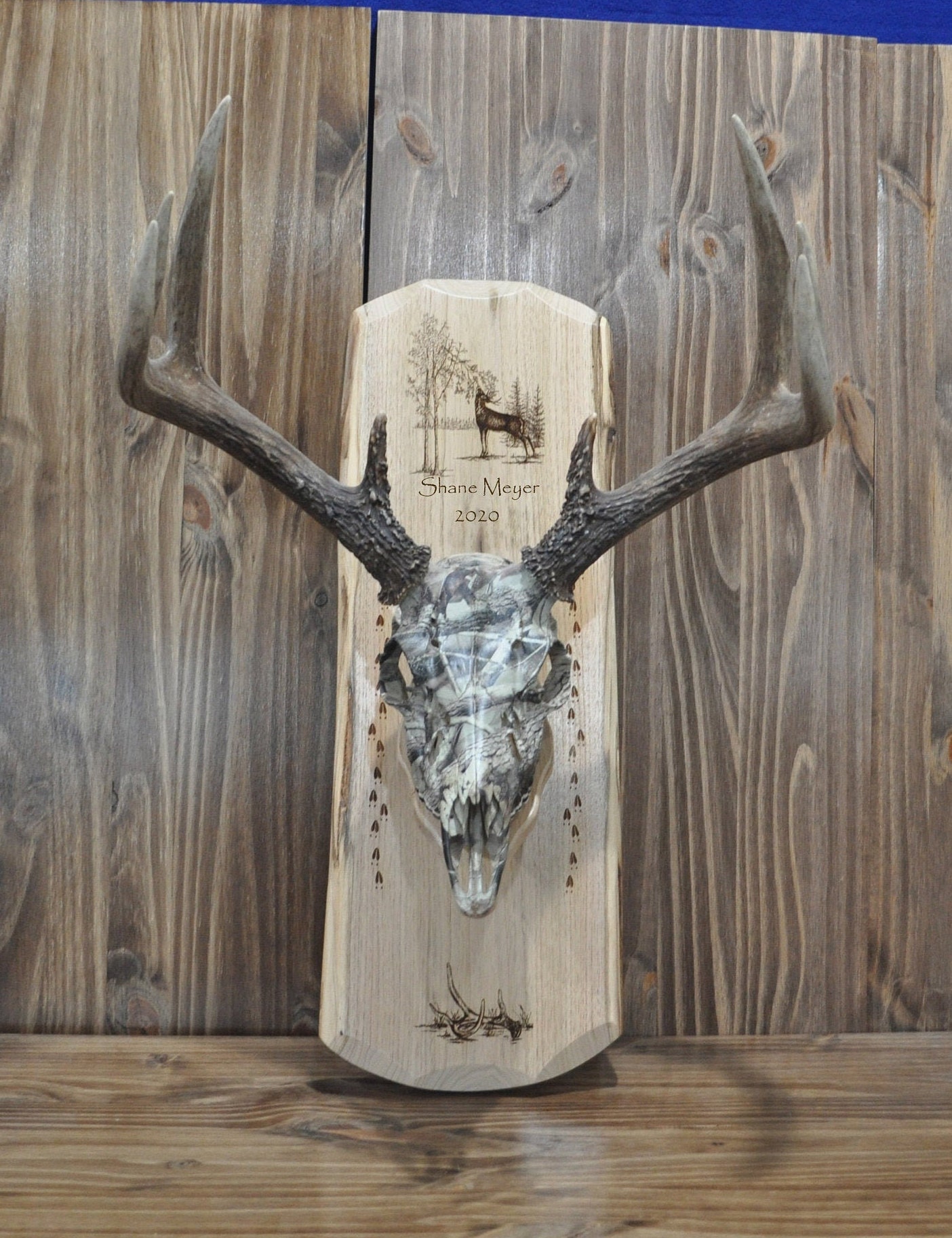 Deer Hunting European Mount Plaque Hunting Deer Skull Etsy