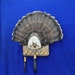 see more listings in the Hunting*Fishing*Wildlife section