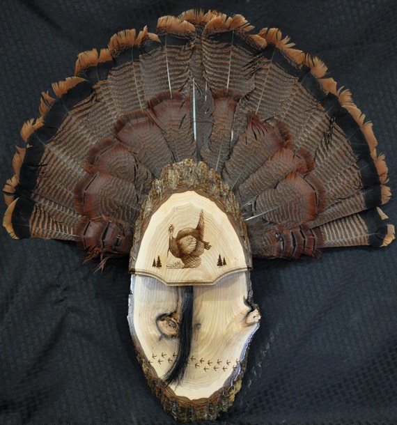 Turkey Fan. Turkey Hunting. Turkey Fan Mount Board. Live Etsy