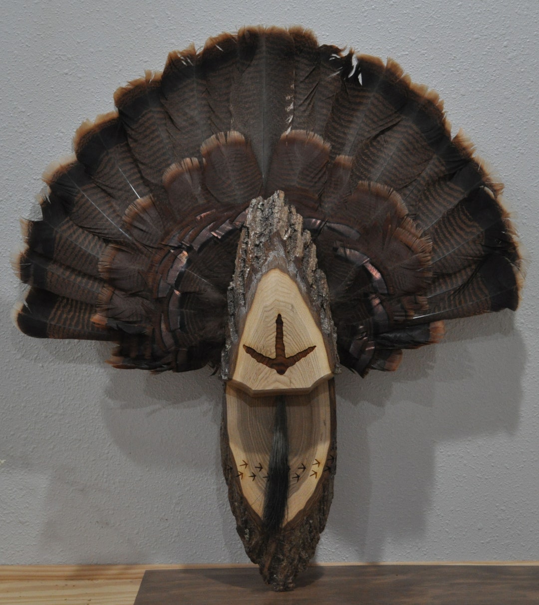 Turkey Fan Display, Hunting for Turkeys, Tail and Fan Mount, Turkey