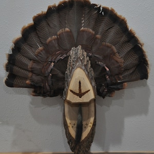 Turkey Fan Display, Hunting For Turkeys, Tail And Fan Mount, Turkey Tracks, Hunting Gifts, Gifts for Turkey Hunters, Wildlife Mounts, Hunt