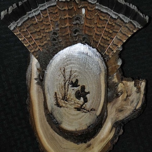 Hunting .Grouse Fan.  Grouse Hunting.  Grouse Fan Mount.  Grouse Tail Display. Grouse Fan.  Grouse Plaque.  Grouse Hunter Gift.  Grouse