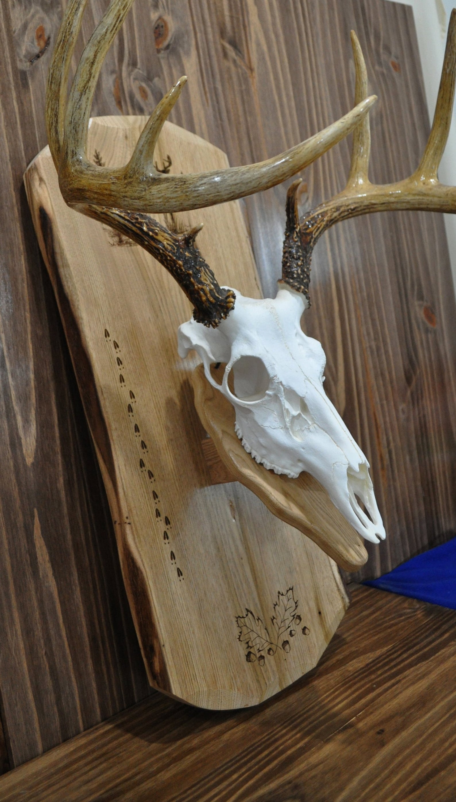 Deer Mount Boards Deer Hunting European Mount Plaque Etsy