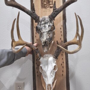 European Skull Mounting Kit, Double Skull Mount For Deer, Two Photos Engraved On Deer Mount Kit, Great Gifts For Hunters, Gifts For Him,