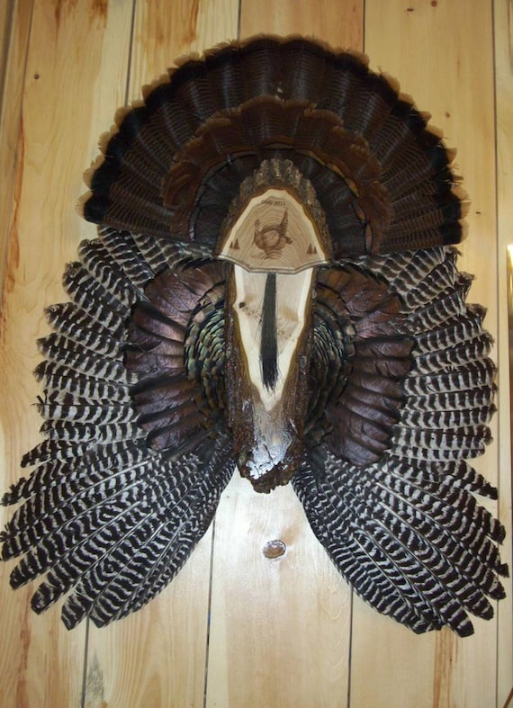 turkey-hunting-turkey-fan-mount-turkey-fan-plaque-turkey-etsy