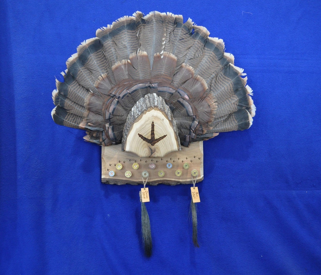 Turkey Fan and Beard Display, Turkey Hunting, Turkey Fan Mount, Turkey